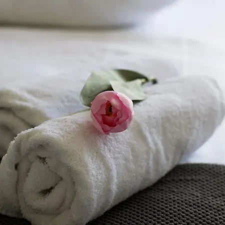Bnbgreen Bed & Breakfast Amsterdam